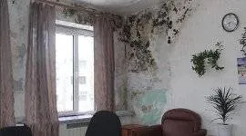 Cum sa faci o celulă Cum sa faci o celulă