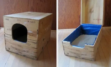 Cum de a construi o casa pentru pisica