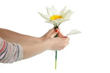 Cum de a colecta un buchet de flori