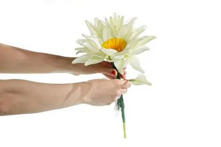 Cum de a colecta un buchet de flori
