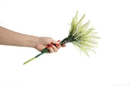 Cum de a colecta un buchet de flori