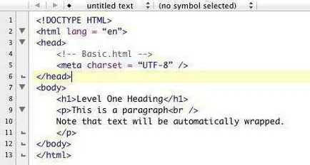 Introducere html