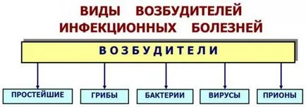 infecții Nume