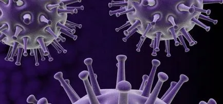 infecții Nume