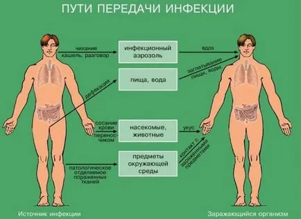 infecții Nume