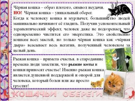 Reviste cu pisici Reviste cu pisici
