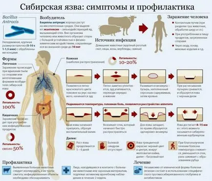 infecții Nume