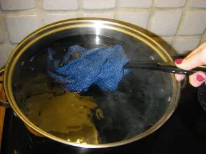 Rochia va picta Rochia va picta