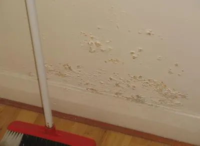 Cum să se ocupe de umiditate