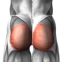 Musculare cum să-l construiască