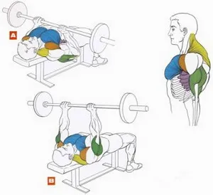 Musculare cum să-l construiască Musculare cum să-l construiască