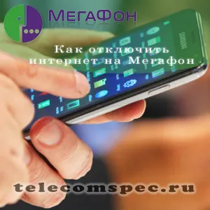 Cum se dezactivează opțiunea de megafon pe internet