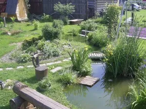 Cum pentru a determina nivelul apelor subterane