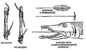 Cum de a prinde un pește