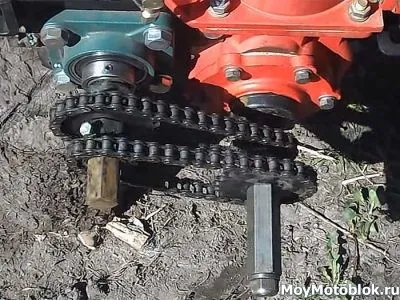 Cățărătoare pentru cultivatori cu mâinile lor