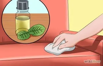 O pisica nu poate sari