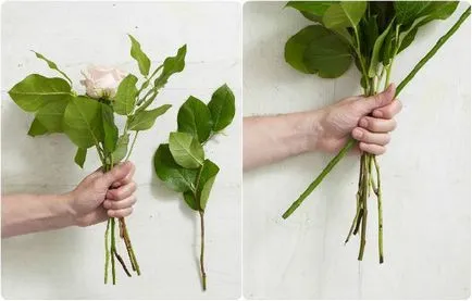Cum de a colecta un buchet de flori