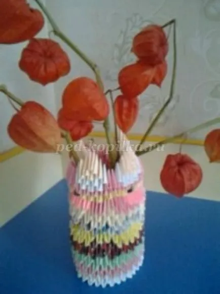 Cum sa faci o vaza din module