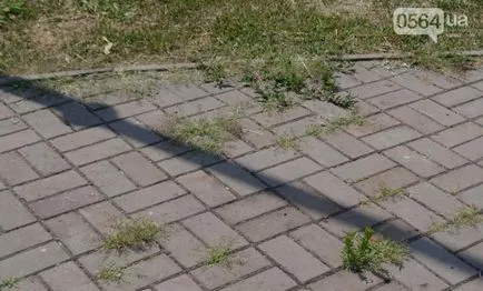 Cum arată astăzi