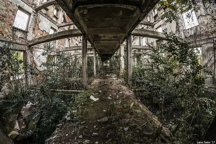 Cum arată astăzi Cum arată astăzi