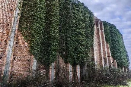 Cum arată astăzi Cum arată astăzi