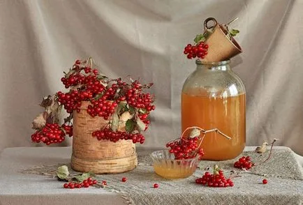 Cum să luați Viburnum