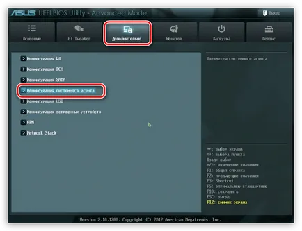 Cum de a activa placa video în BIOS