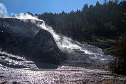 Din ceea ce mamuti cale de disparitie
