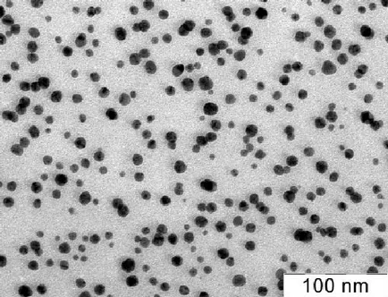Nanoparticles ce este