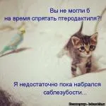 doamnelor ceva