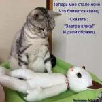 Ce faci această plimbare Ce faci această plimbare