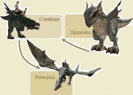 Cum de a prinde un dragon