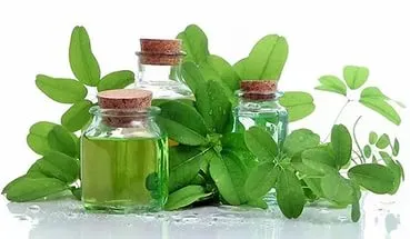 remedii populare hidrocefalia Tratament
