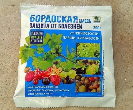 Ce este mucegaiul