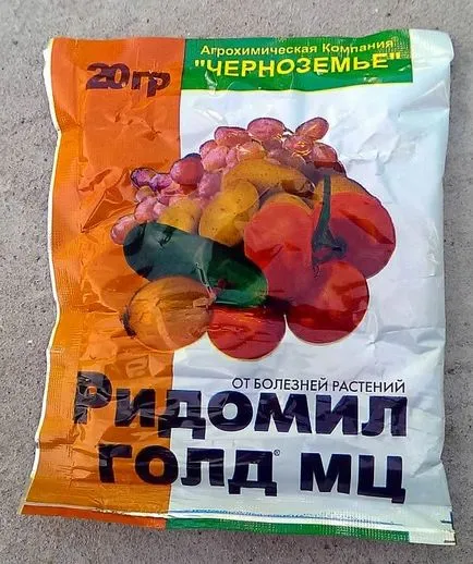 Ce este mucegaiul