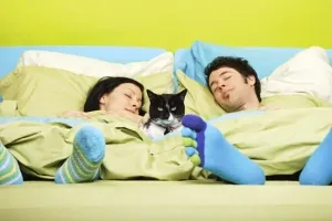 Ce trebuie să faceți pentru a concepe Ce trebuie să faceți pentru a concepe