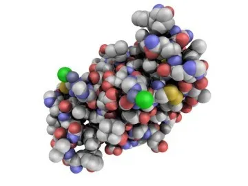 peptidele Hormonul peptidele Hormonul