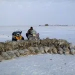 Ca urletul unui lup