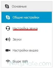 Cum de a face Skype pentru a te auzi