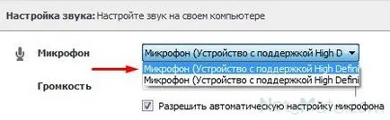 Cum de a face Skype pentru a te auzi