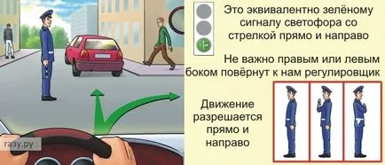 Cum să înțeleagă toate regulile