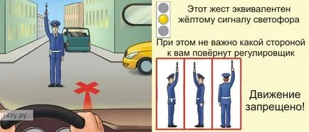 Cum să înțeleagă toate regulile