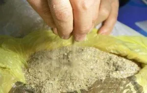 Fertilizarea peștele cu mâinile lor