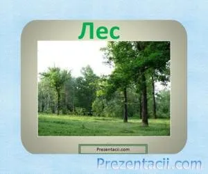 Prezentarea a ceea ce pădure
