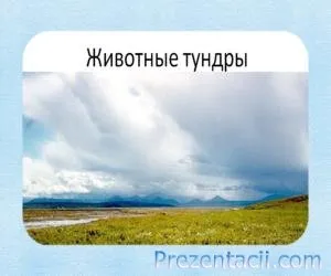 Prezentarea a ceea ce pădure