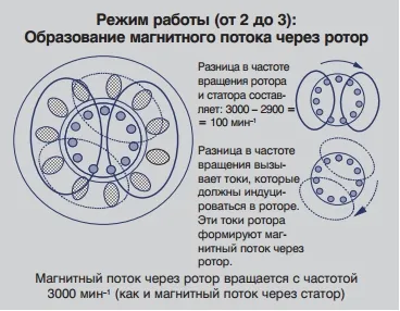 Ce este statorul și rotorul