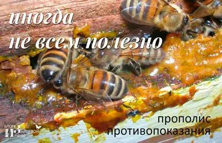 Propolis băutura