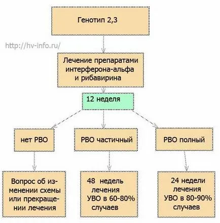 Pvt-l Pvt-l
