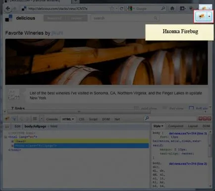 Ce este Firebug