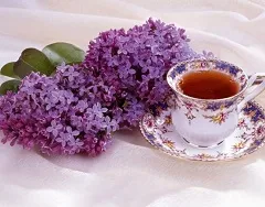 Cât de util liliac Cât de util liliac